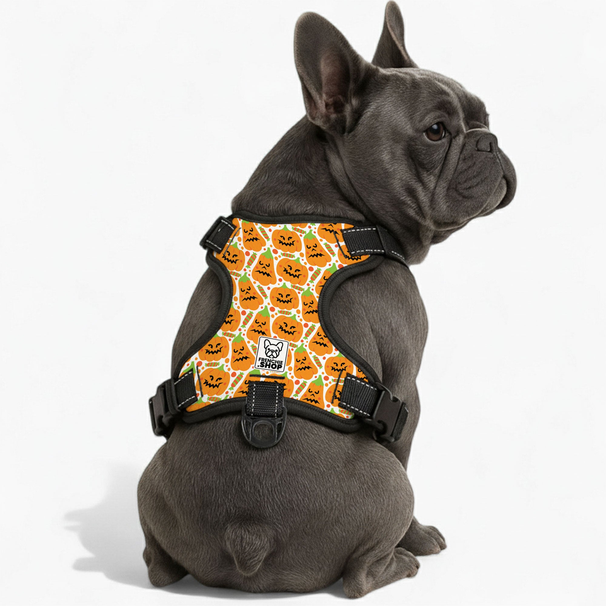 Louie - Bulldog No-pull French Bulldog Dog Harness Outdoor Use