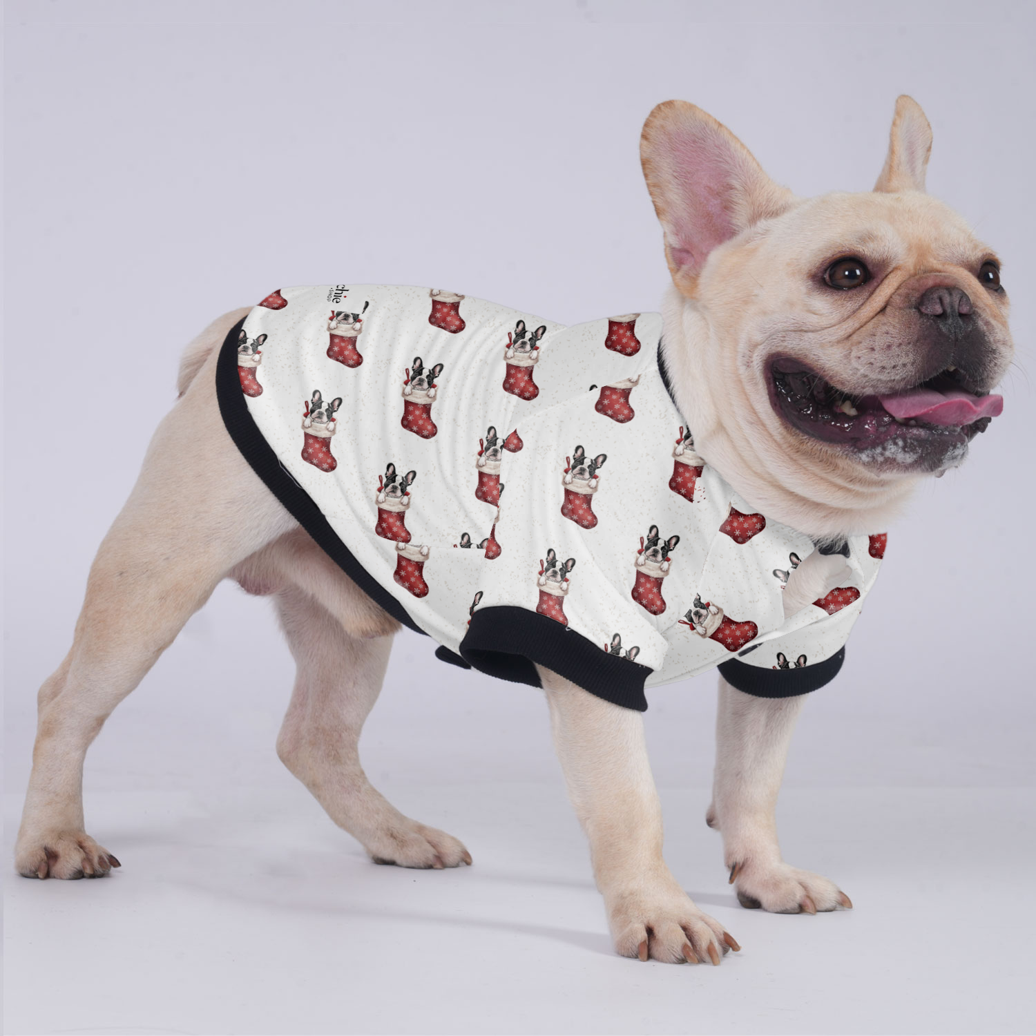 Premium Thor - Jacket For French Bulldog for French Bulldog Lovers