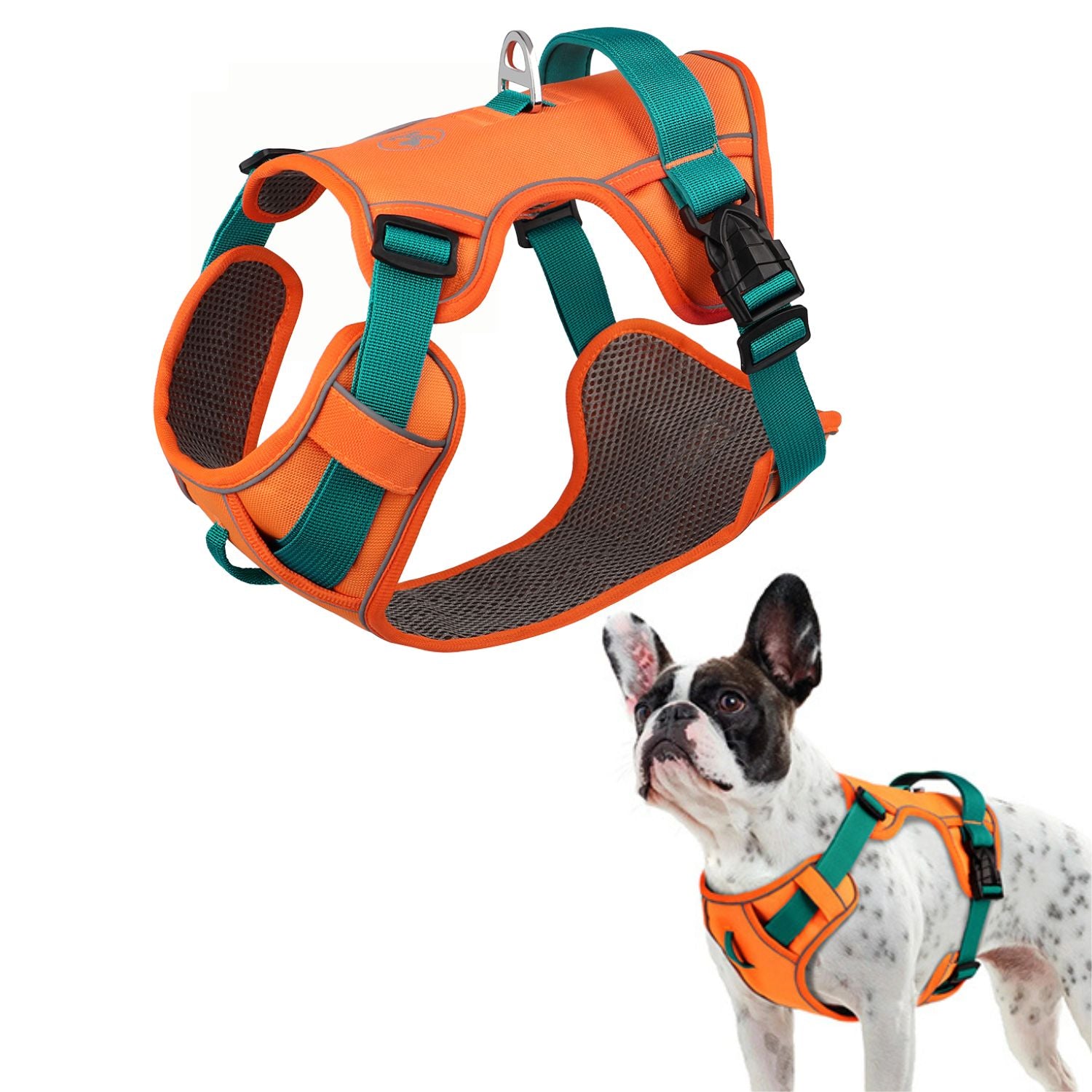 Indoor-Play Glowsafe No Pull Frenchie Harness Reflective Training Ves...