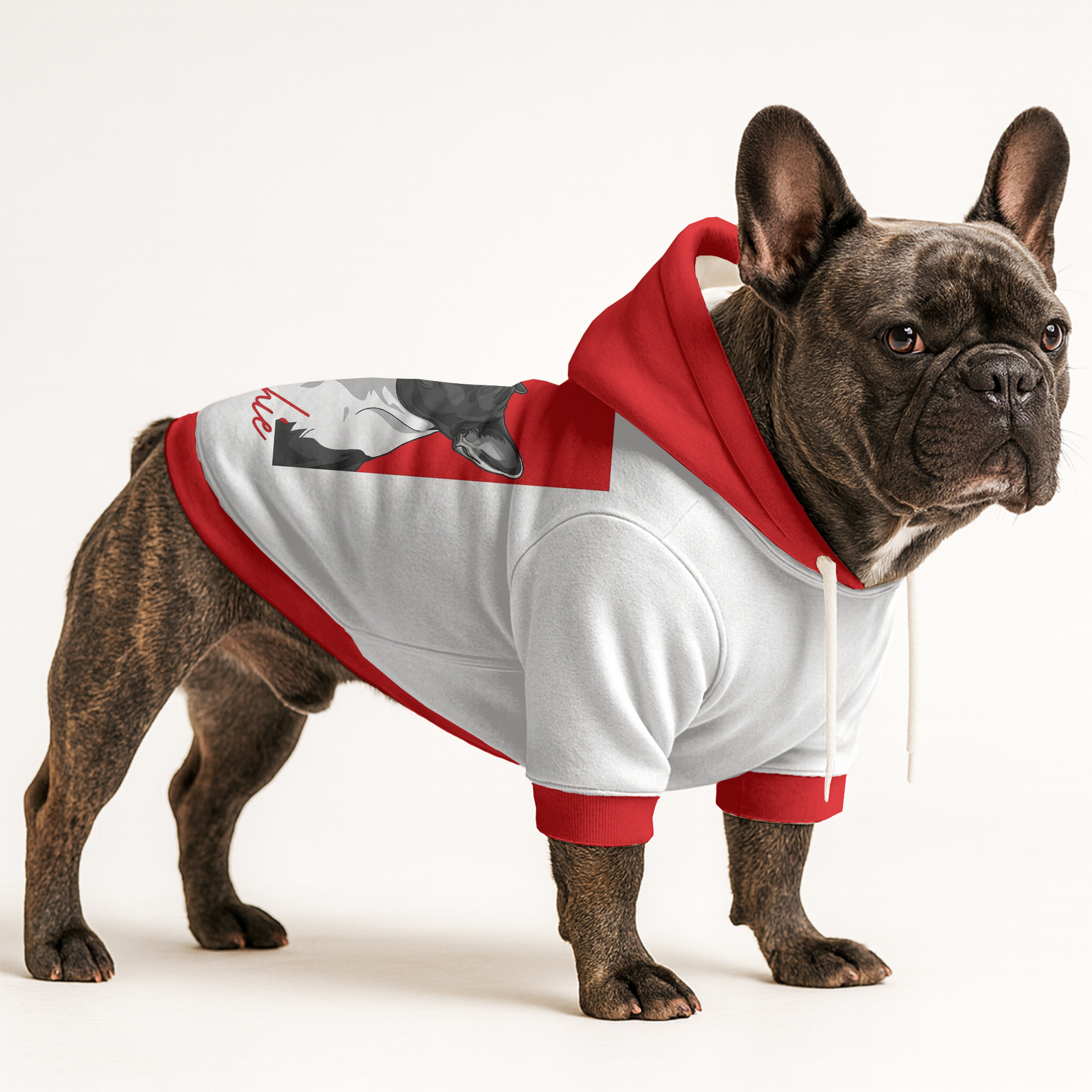 Baz - Frenchie hoodie