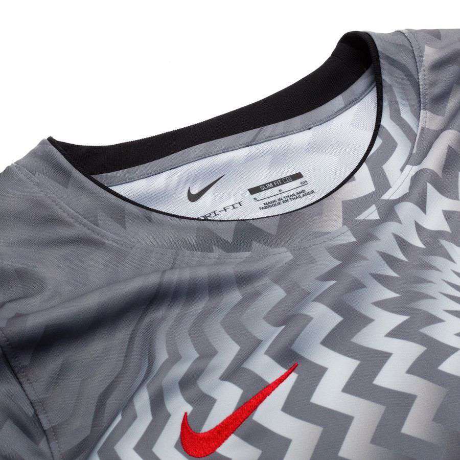 [EFKS] Poland Dri FIT Academy Pro Pre Match Pure Platinum/Cool Grey/Sport Training Red
