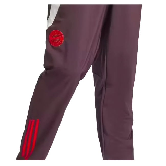 High Quality Bayern Munich 2024-2025 Home Kit (1)
