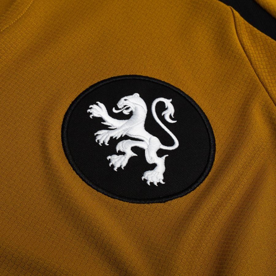 Holland Training T Shirt Dri Fit Strike Women's Euro 2025 Gold Suede/j