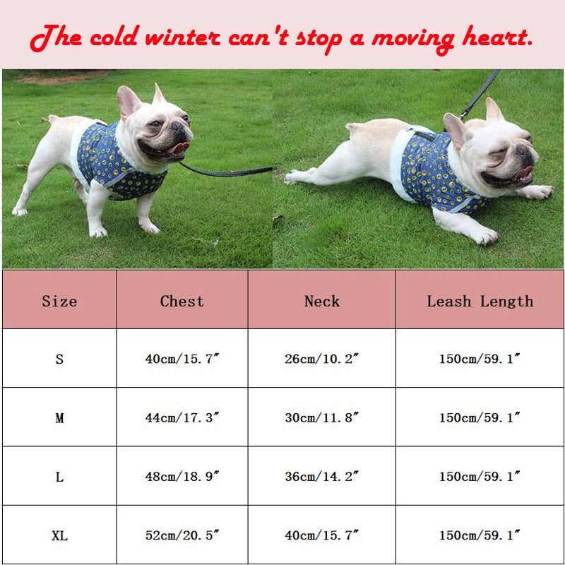 French Bulldog专属 Reflective Harness For Winter (ws304) for Outdoor Use