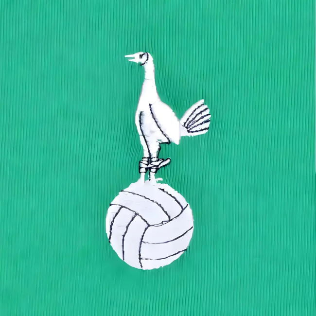 Tottenham Goalkeeper - Premium Quality - Premium Quality