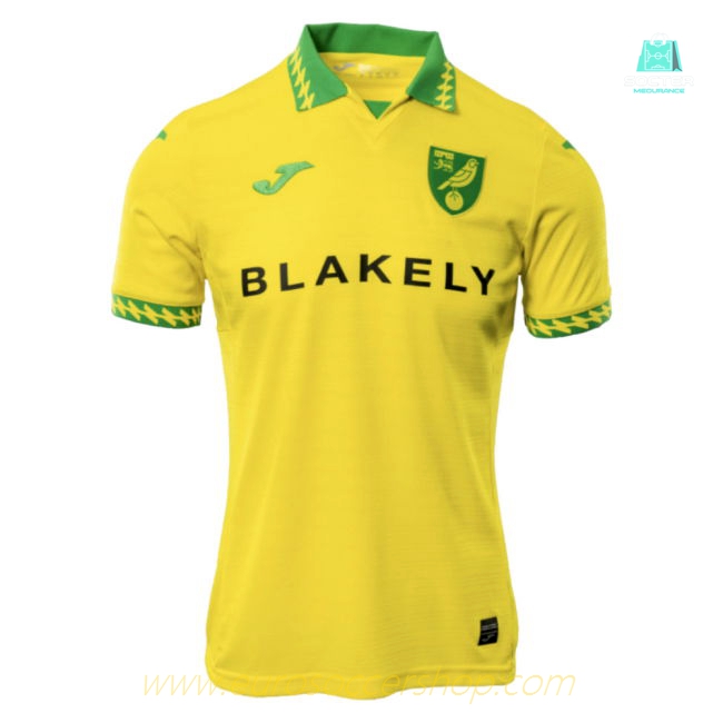 2025-2026 Norwich City Home Shirt (Stacey 3)