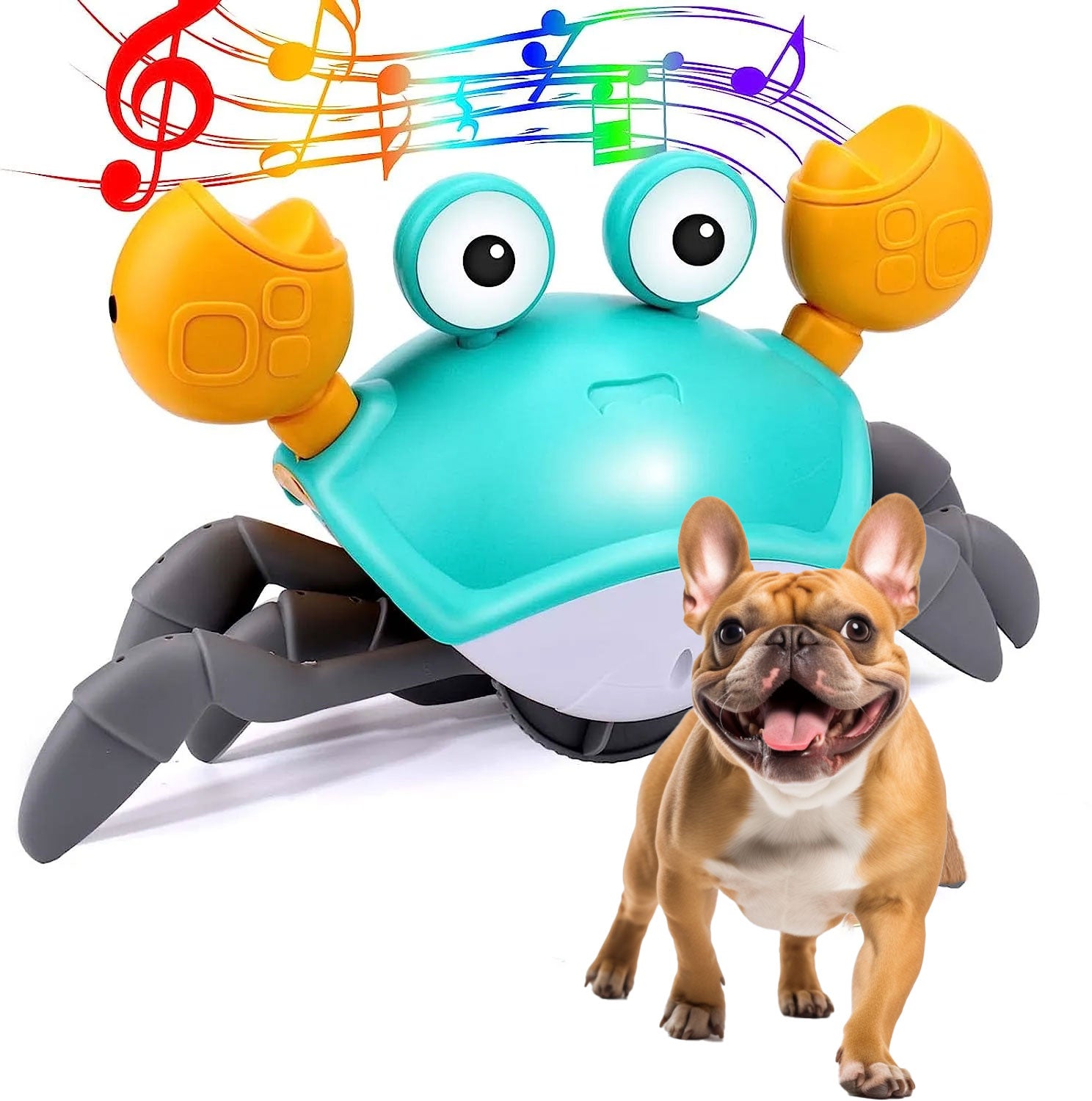 Soft Durable Crabtoy™ - Frenchie Interactive Toy for Training Stylish