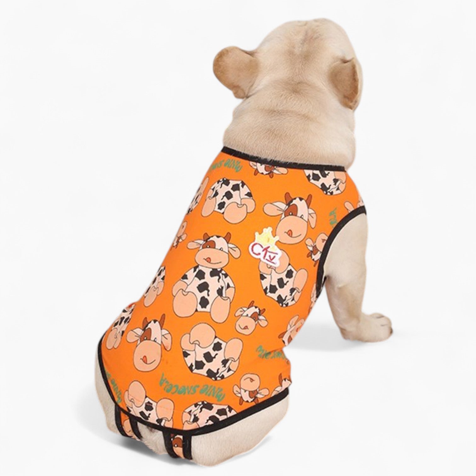 French Bulldog Lover Pawjoy French Bulldog Physiological Pants – Cute