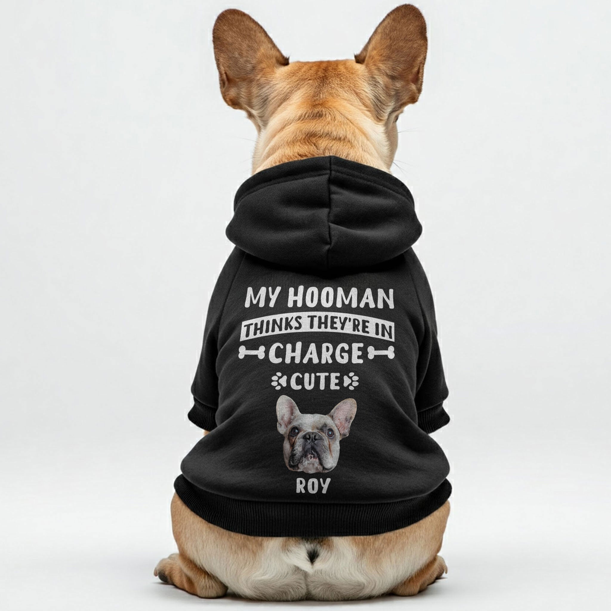 Pet-Lover My Hooman – Personalized French Bulldog Hoodies With Funny ...