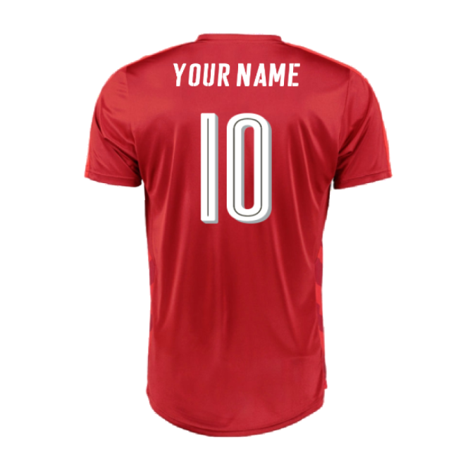 Pro Style Czech Republic Home Pro Level Shirt 2016-2017