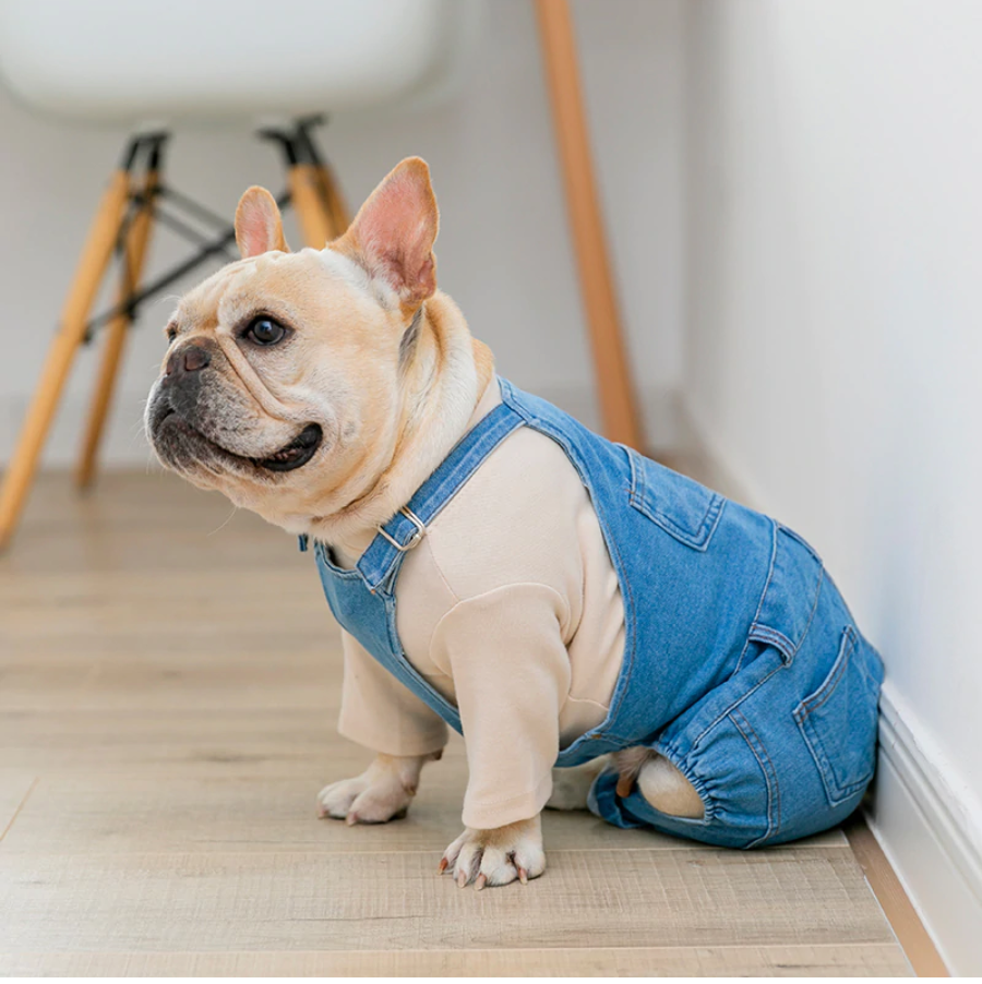 Everyday Jean Overalls Clothes Jeans Jumpsuit For French Bulldog (ws6...