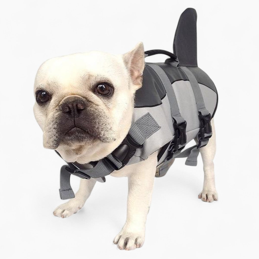Jacket Swimwear for French bulldogs : Shark life vest (WS57)