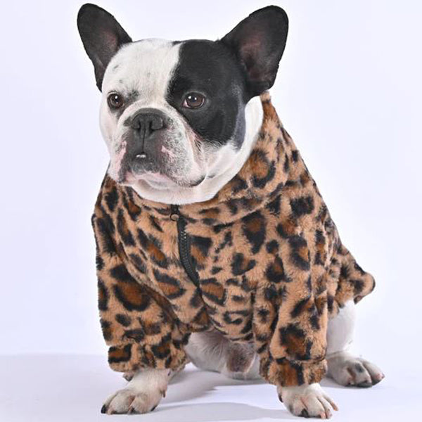 - Premium Frenchie Winter Sweater (wl010) For Dog Lovers | Durable Build