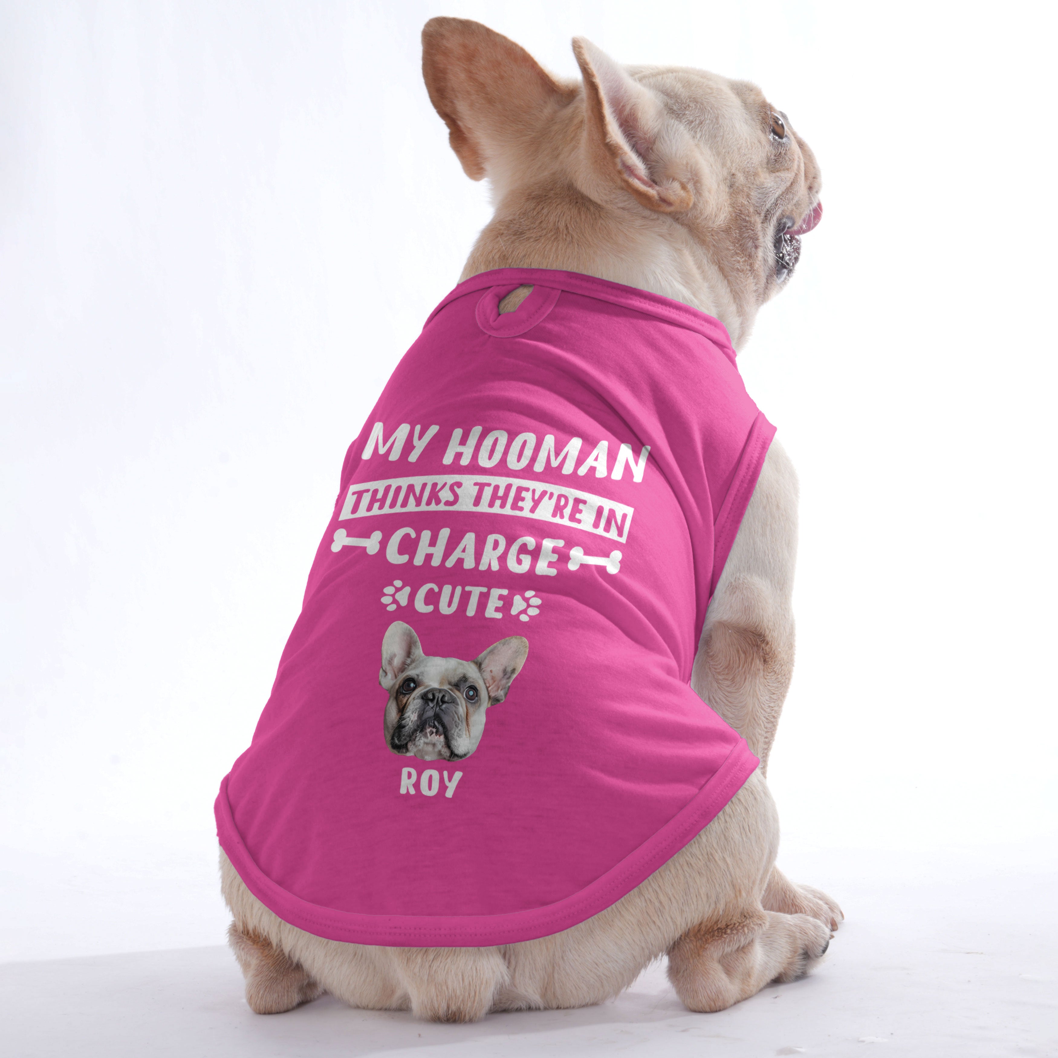 Cozy My Hooman - Personalized Frenchie Shirt | Custom Dog T-shirt For...