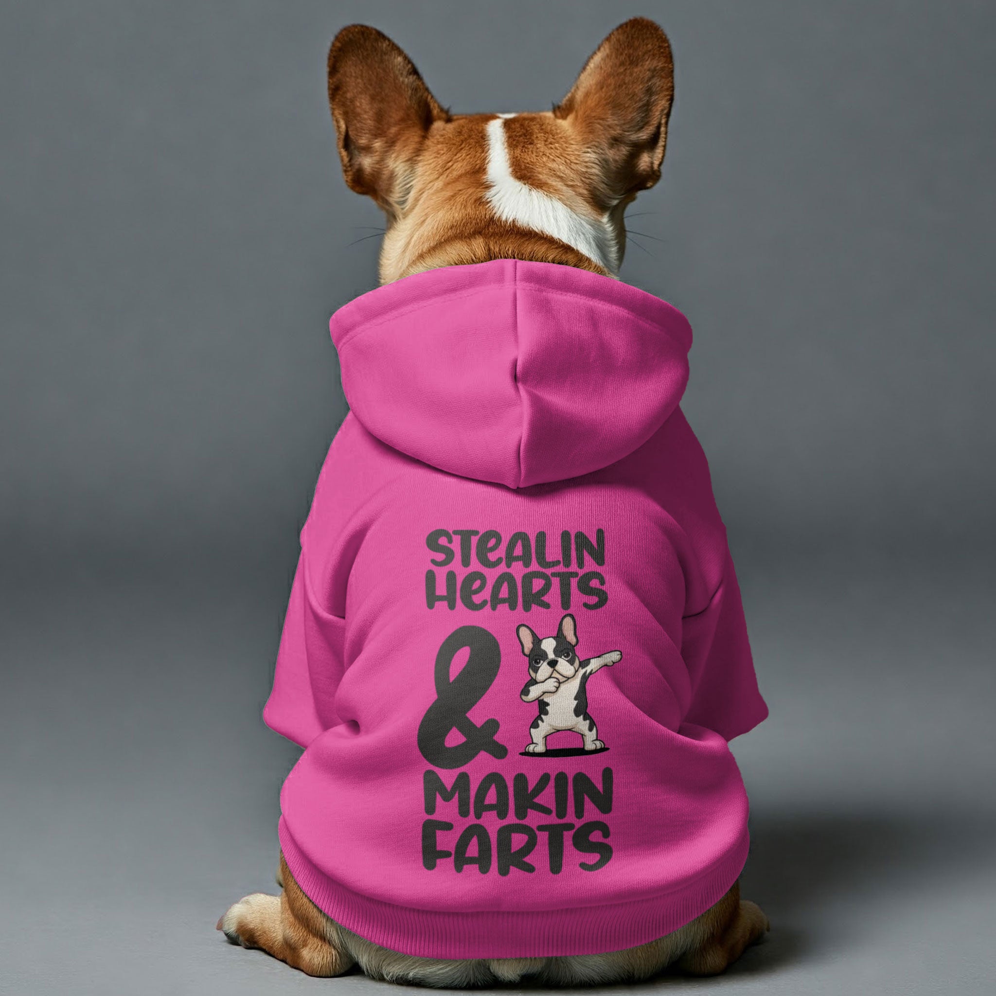 Trendy Makin Farts - Personalized French Bulldog Hoodies With Funny Q...