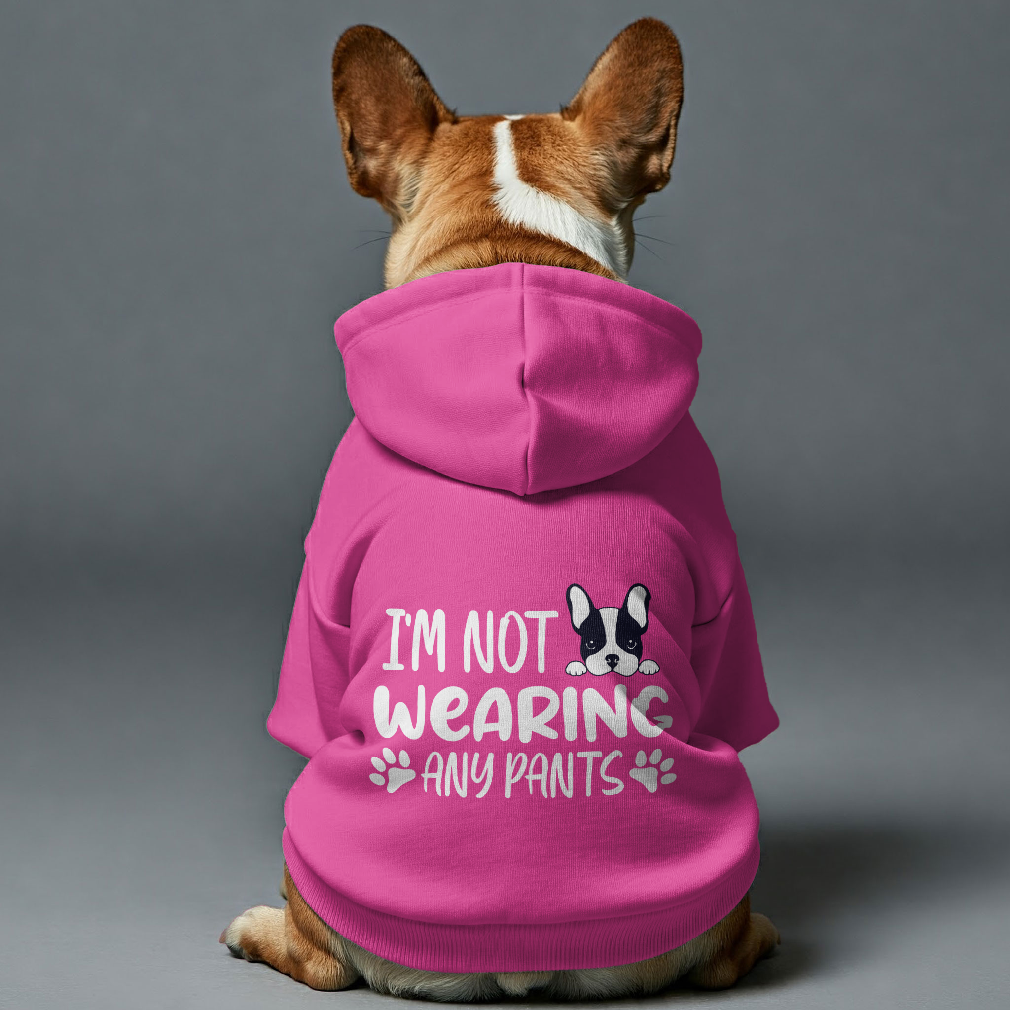 Im Not Wearing Any Pants - Stylish Personalized French Bulldog Hoodies With Funny Quotes – Stylish, Cozy, And Premium 100% Cotton Indoor Comfort