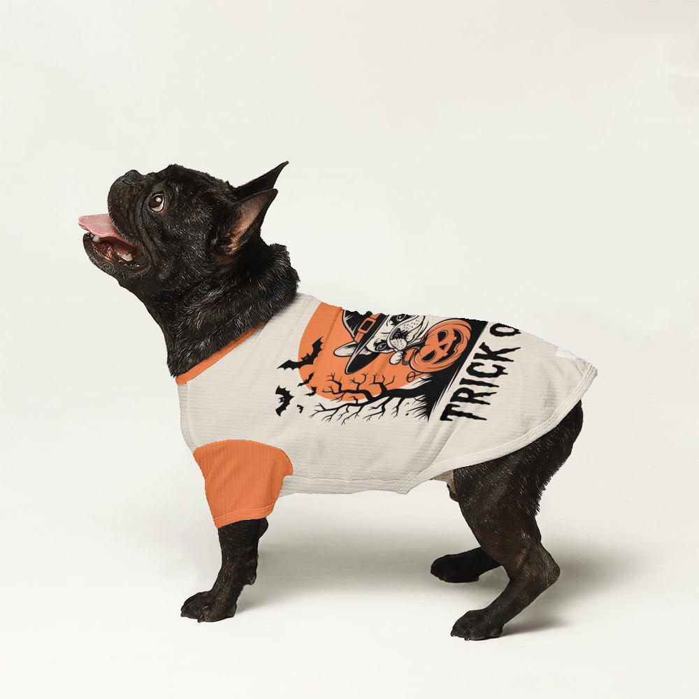 French Bulldog Laura Wool Sweater For Frenchies Soft Pet Apparel