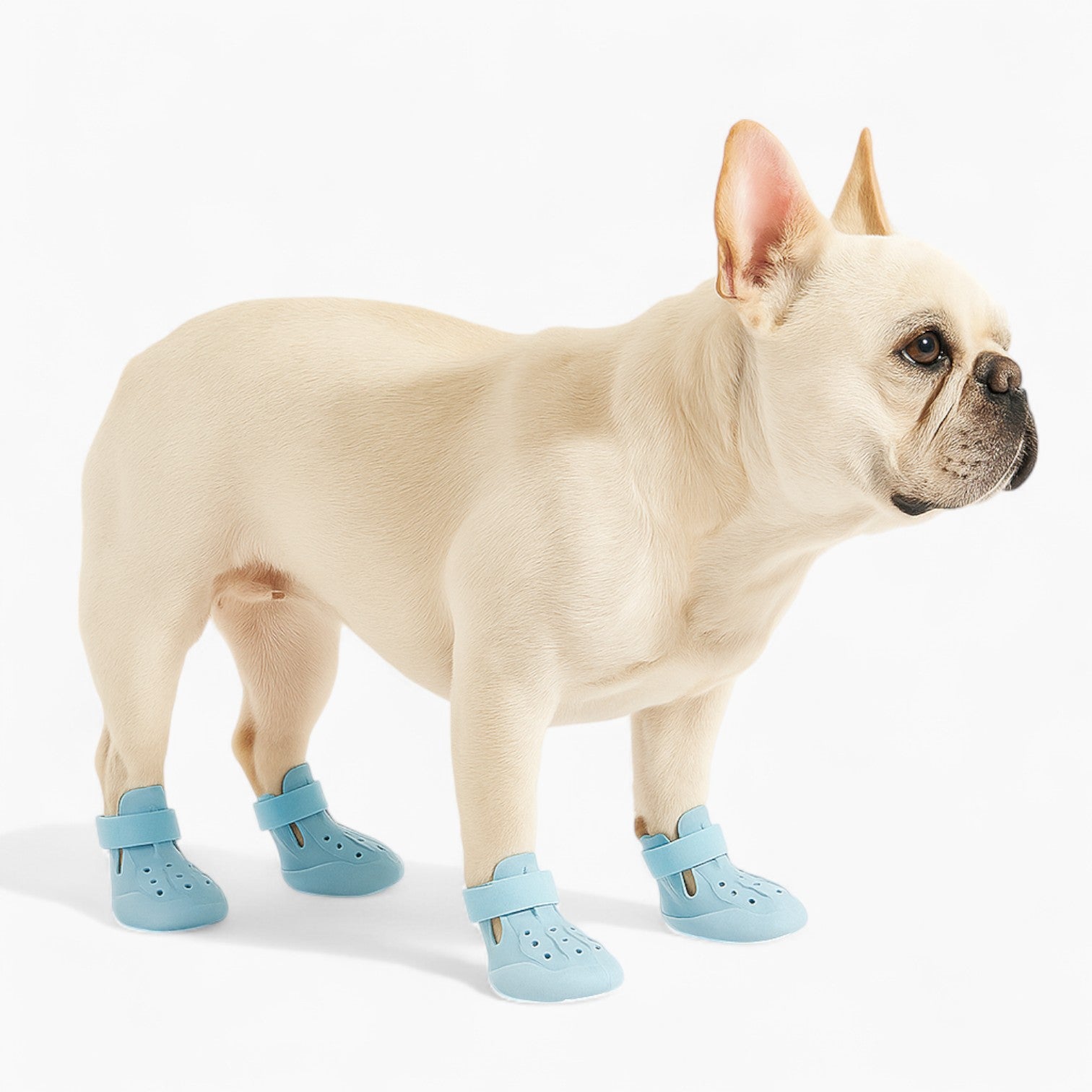 Shoes – Waterproof Anti-slip Summer Boots Outdoor Use | Vet-recommended