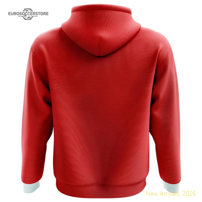 2025-2026 Costa Rica Home Concept Hoody (kids) - Reasonable Price