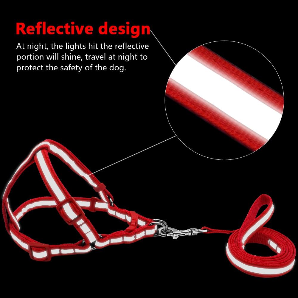 Airflow-Friendly Reflective Frenchie Harness And Leash Set (ws58) for...