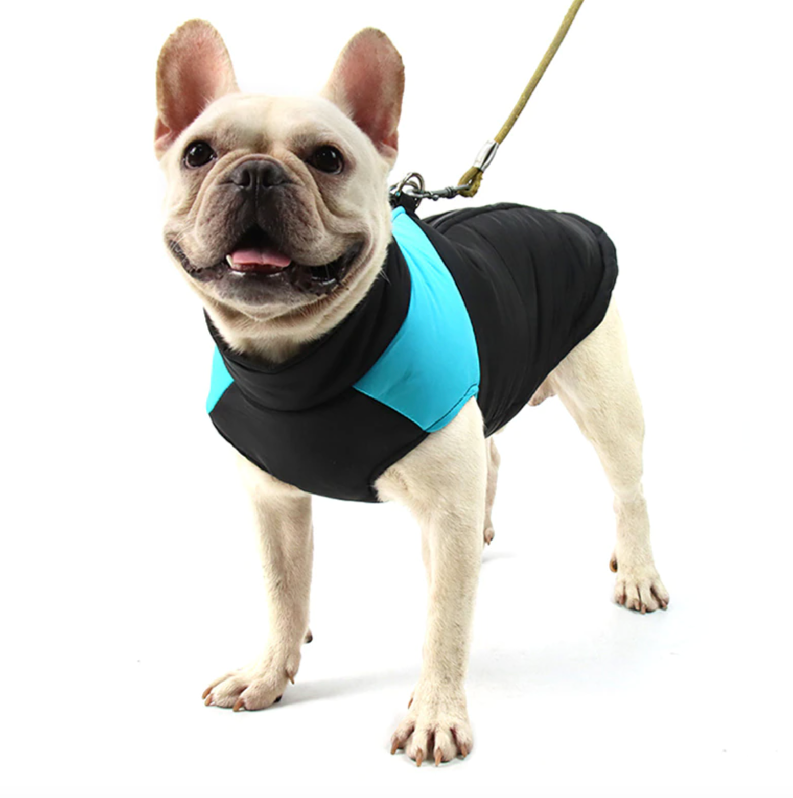 Frenchie-Fan Waterproof Vest Jacket For French Bulldog (cs020) for Ev...