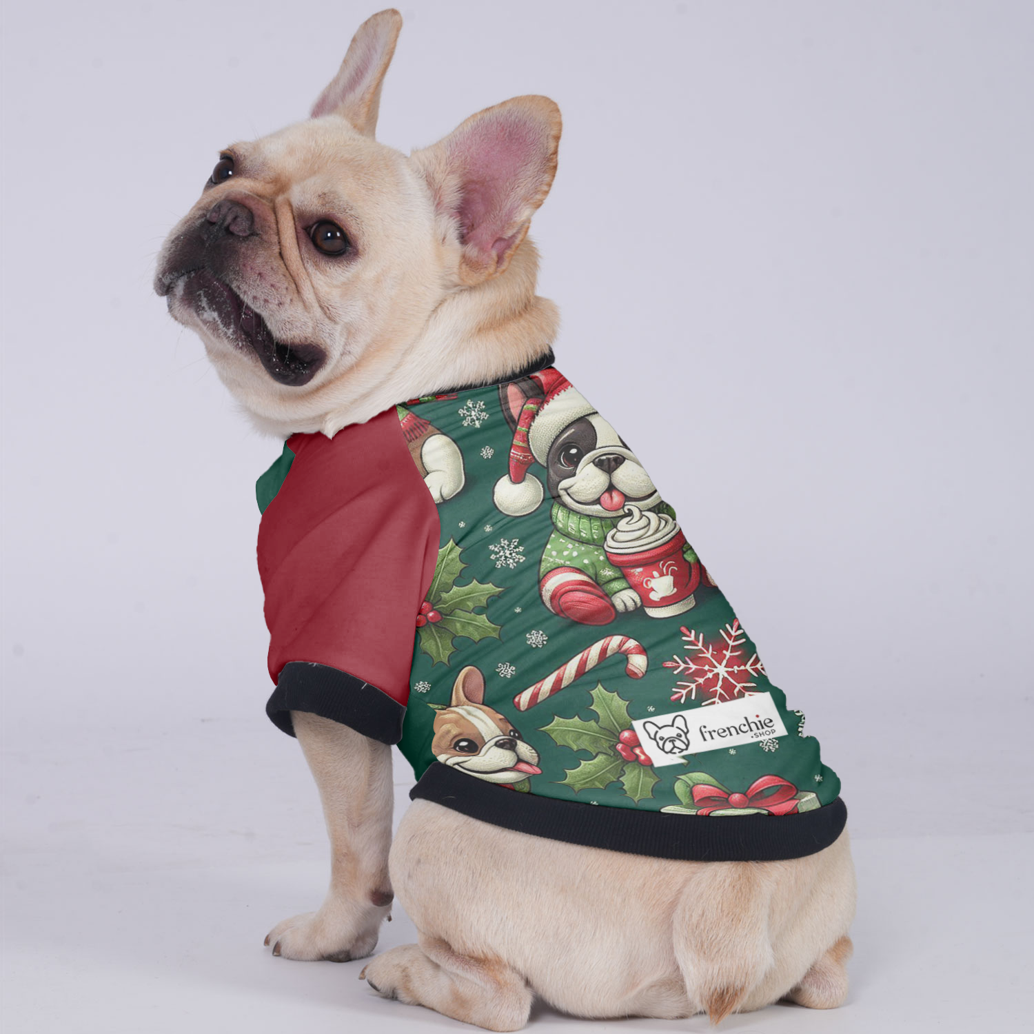Cooper - Comfortable Jacket For French Bulldog Paw Protection