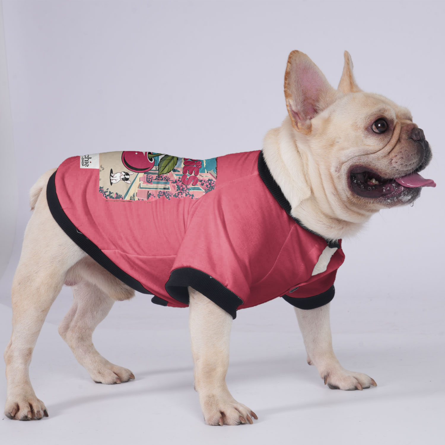 Lifestyle-Driven Lady - Jacket For French Bulldog for French
