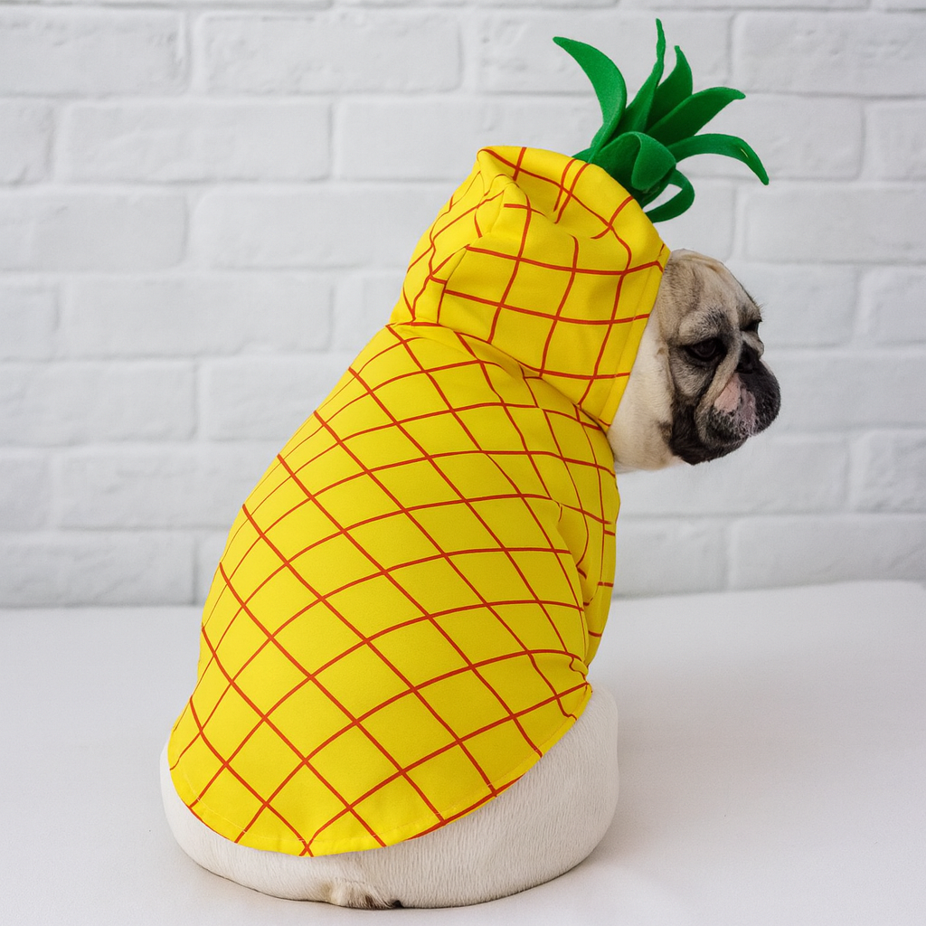 French Bulldog Barkana Frenchie Fruit Costume – Cute Apple Pineapple