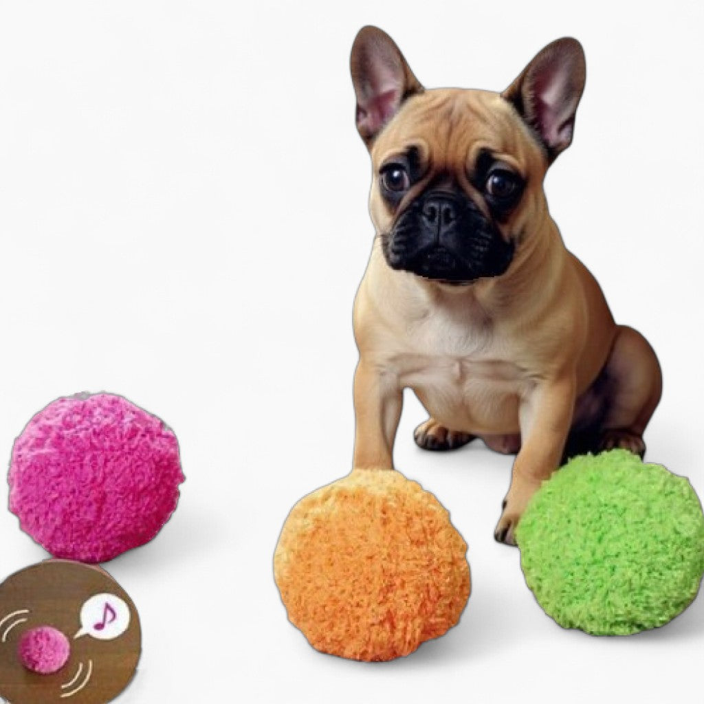 French Bulldog Magic - Warm Roller Ball Toy (ws83) Paw Protection