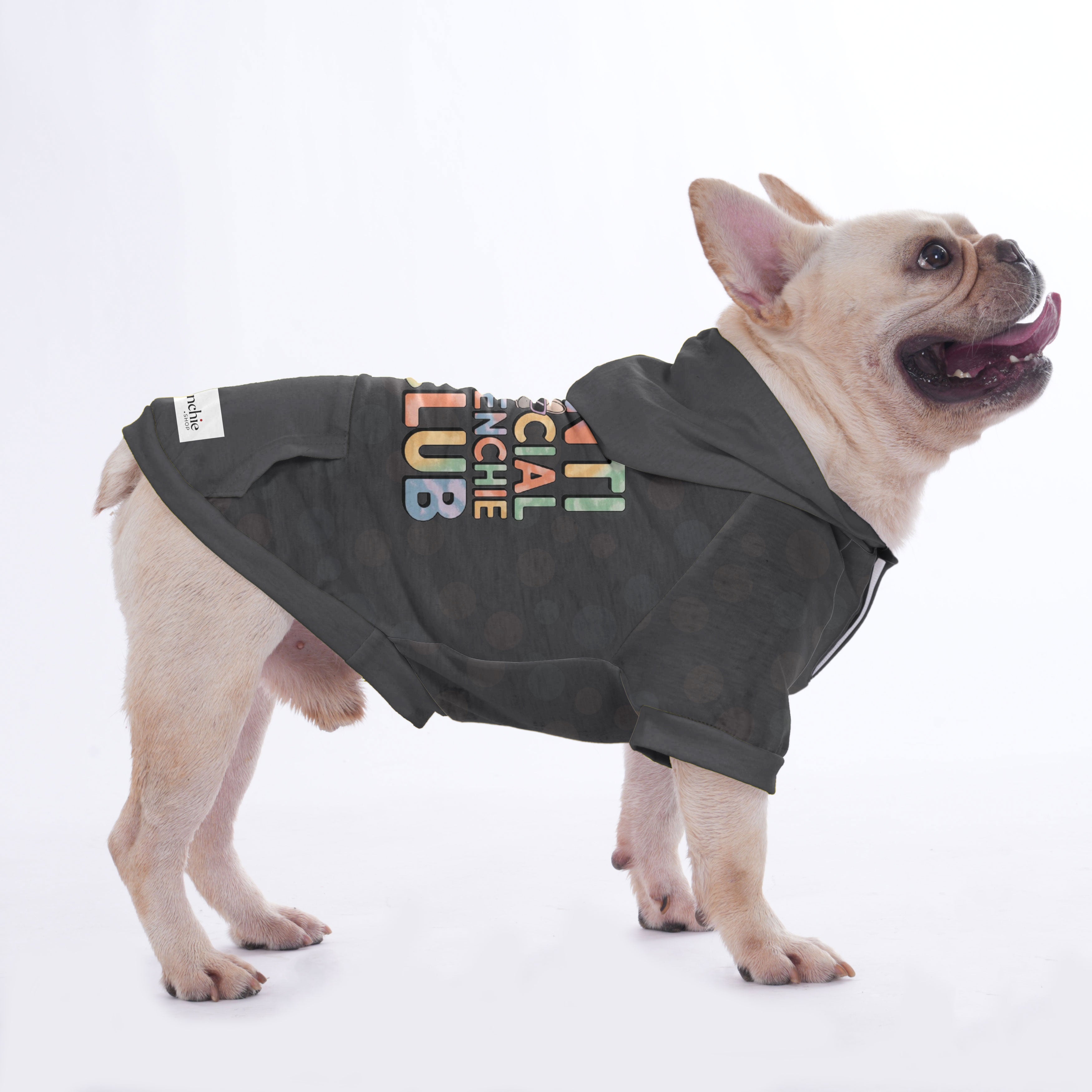 Hoodies For French Bulldog | Frenchie Shop Original Indoor Comfort