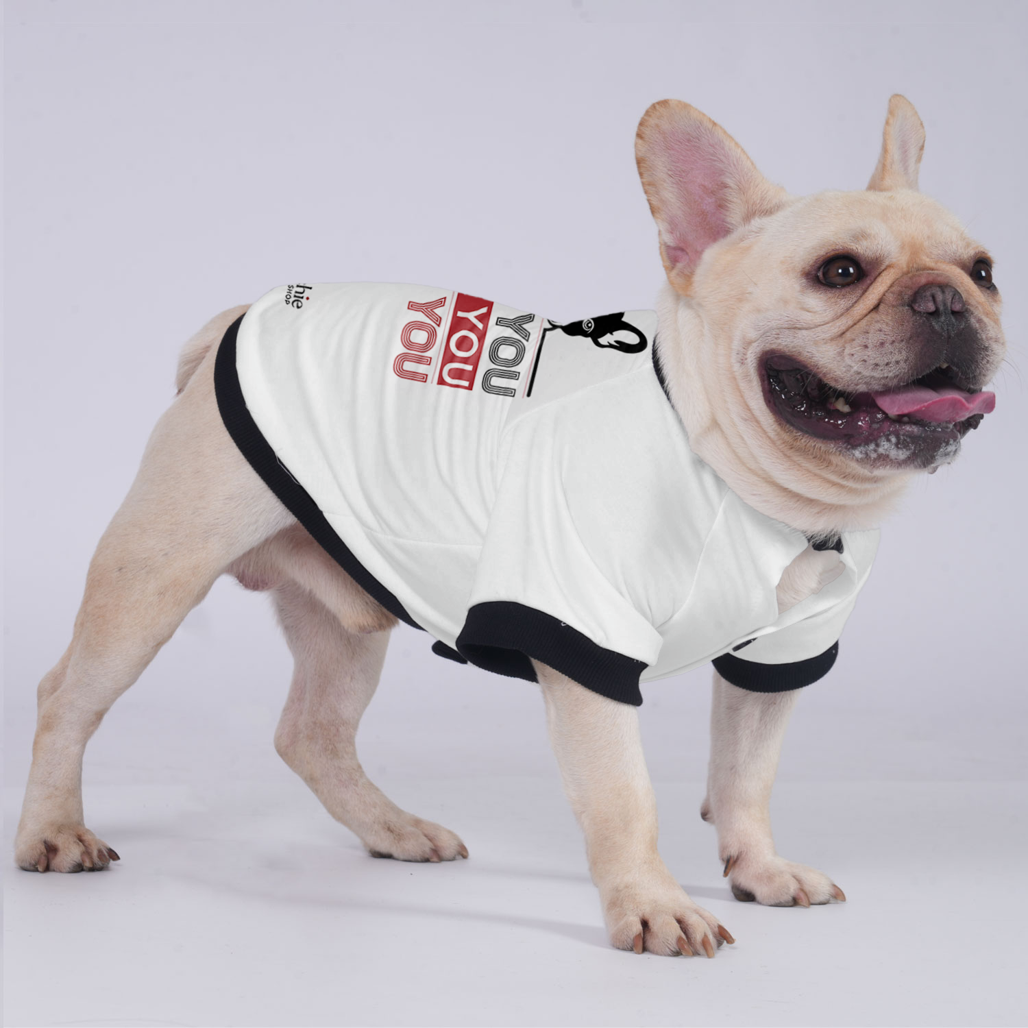 Minimal-Aesthetic Trendy Luna - Jacket For French Bulldog for Daily Life