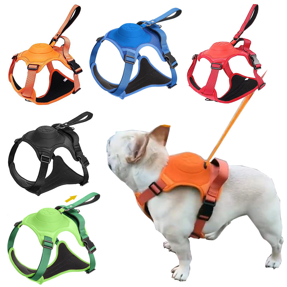 French Bulldog Bulldogbound Frenchie Harness And Retractable Leash Set