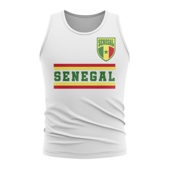 Adult Senegal Jersey Senegal