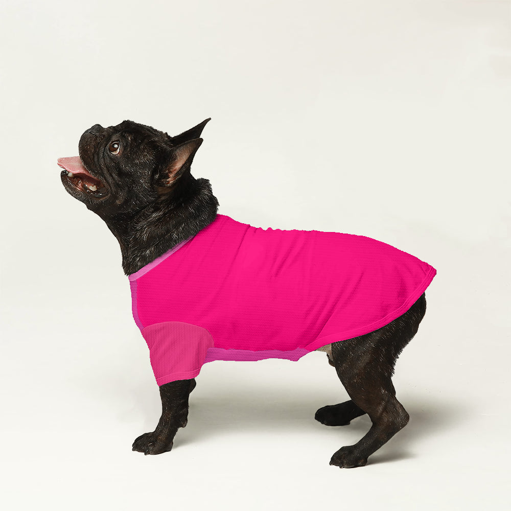 French Bulldog Sonny Wool Sweater For Frenchies Comfy Pet Outfit