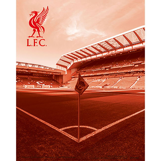 Pro Style Liverpool Home Player Jersey 2025-2026 (FC 3)