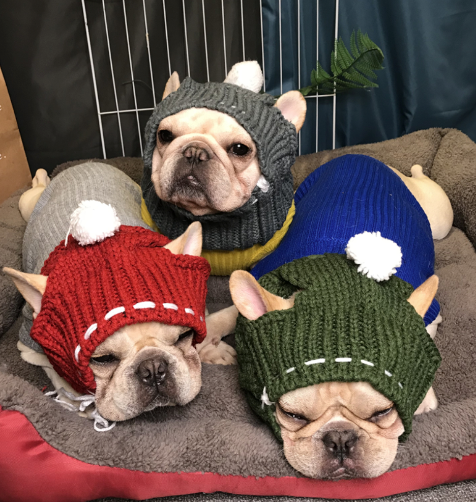 Winter - French Bulldog Themed Woolen Hat For French Bulldog Casual Wear