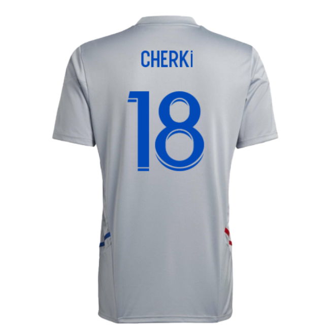 Premium-grade 2022-2023 Olympique Lyon Training Training Jersey (ha