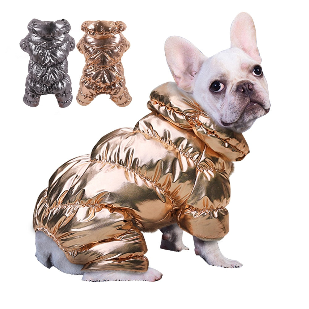 Trendy Waterproof Winter Coat For Frenchie (ws307) for Everyday Wear