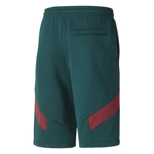 2019-2020 Italy Puma Iconic Mcs Shorts (Pine) Holland Worldcup