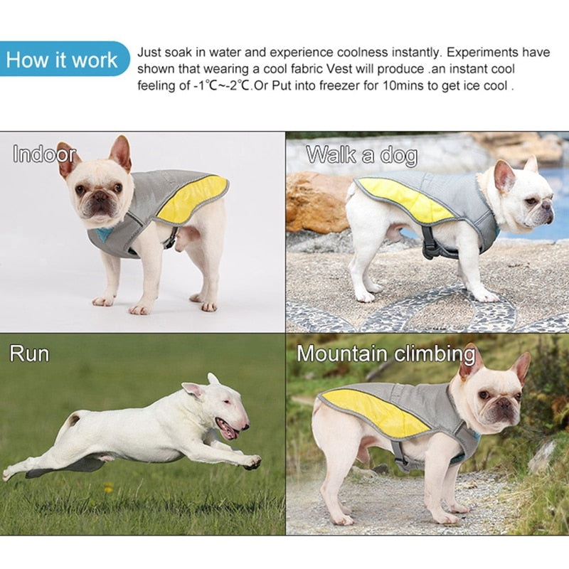 Coolify™ - Safe : Cooling Vest For Frenchie (cs13) Indoor Use