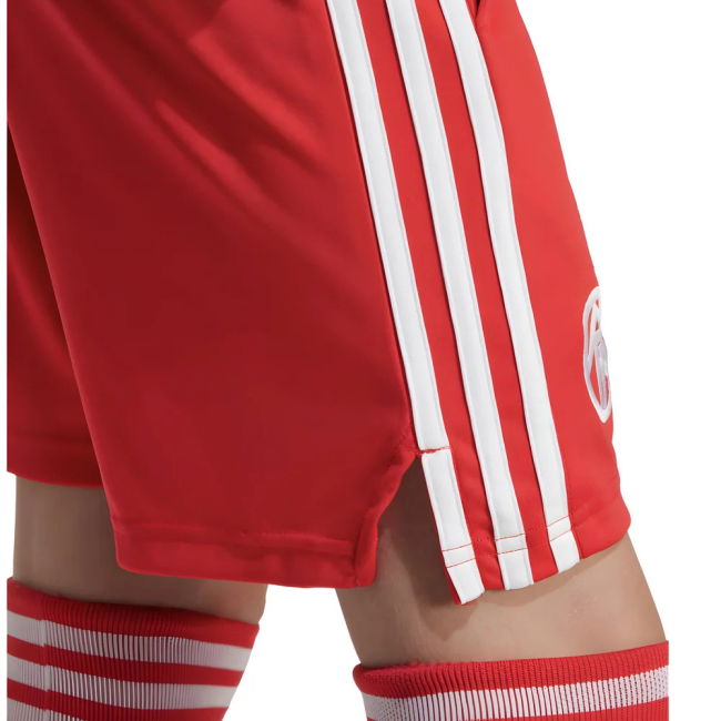 Bayern Official 2025-2026 Third Shirt (Pure Ruby) | Comfortable