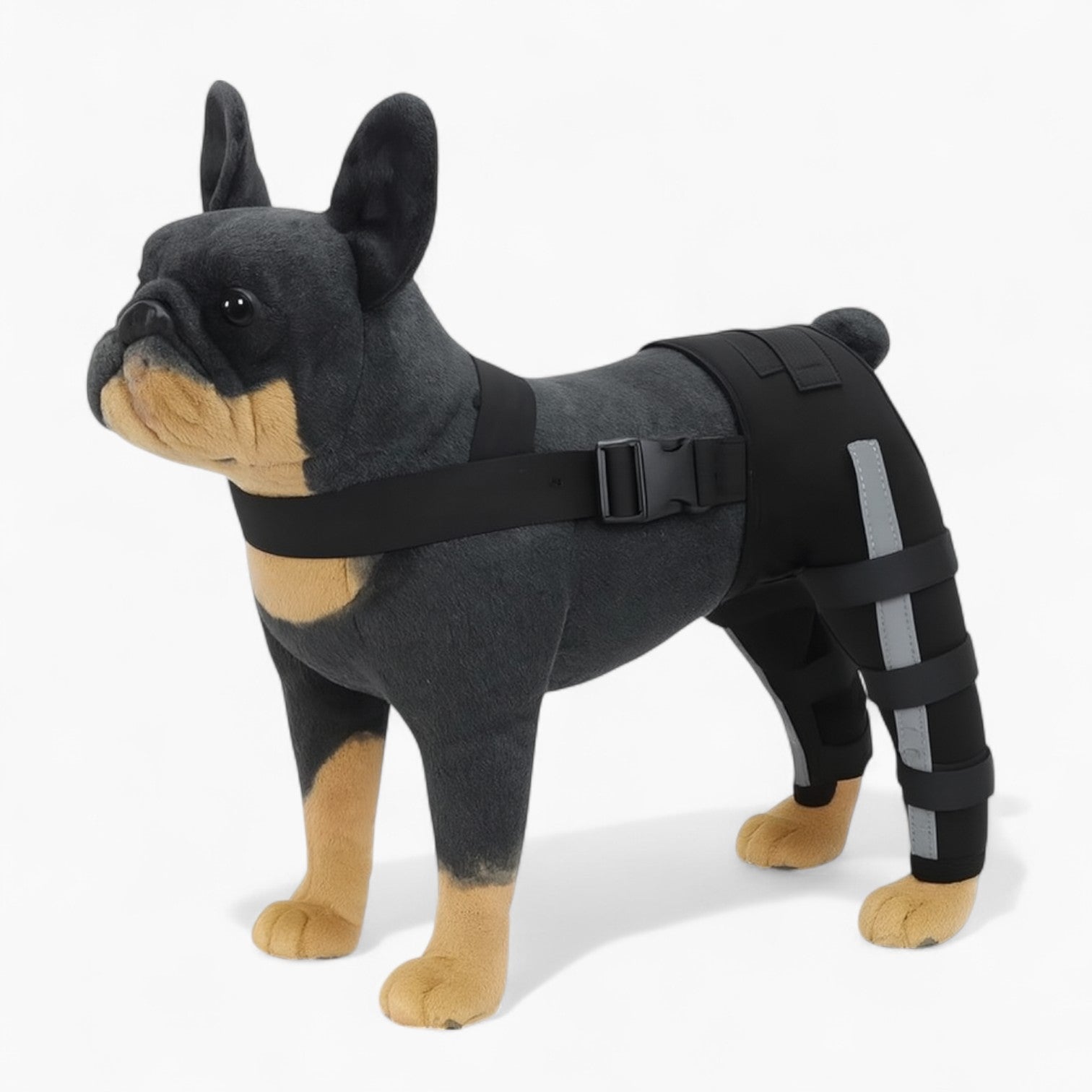 French Bulldog Pawguard Frenchie Knee Leg Braces – Joint Support Injury