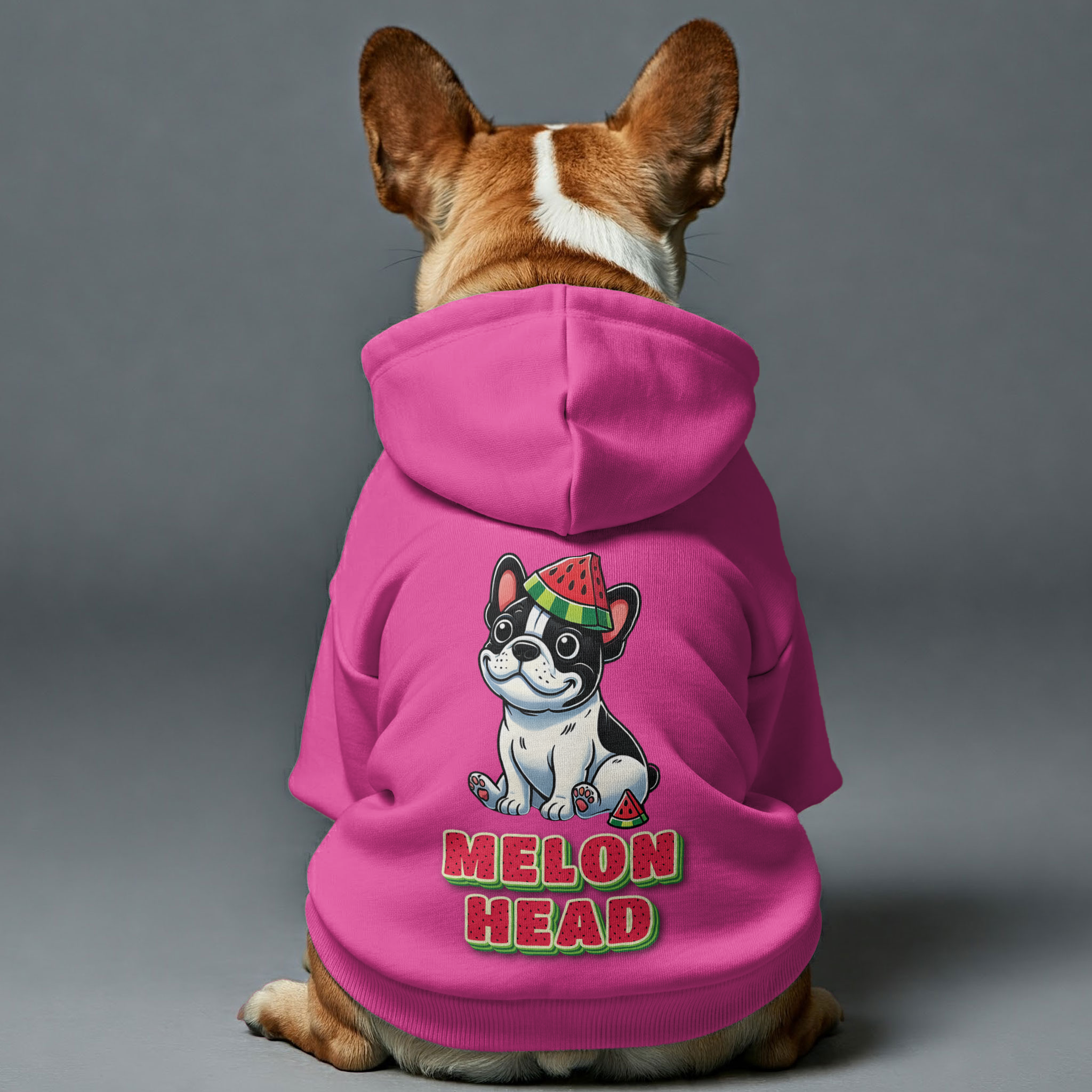 Lifestyle-Driven Melon Head - Personalized French Bulldog Hoodies Wit...