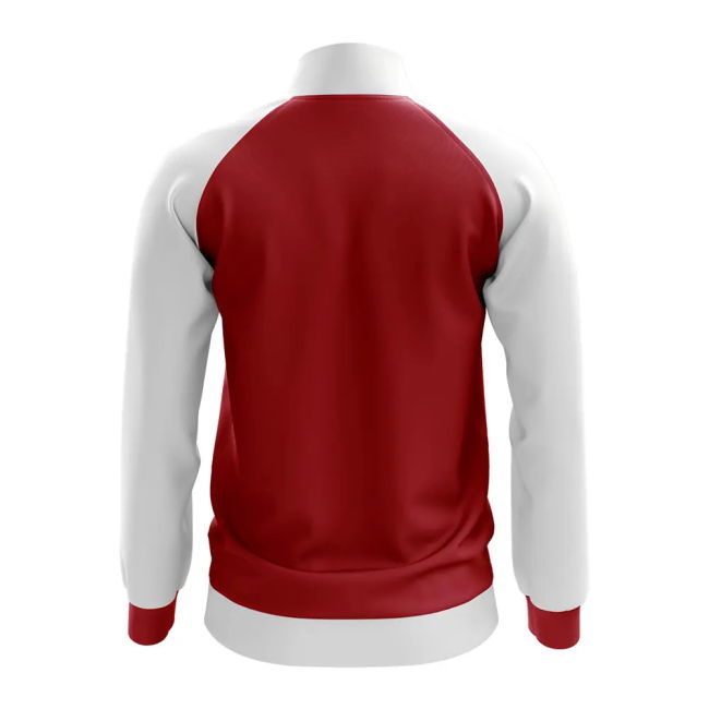Denmark National Squad Sleek Concept Game Jersey