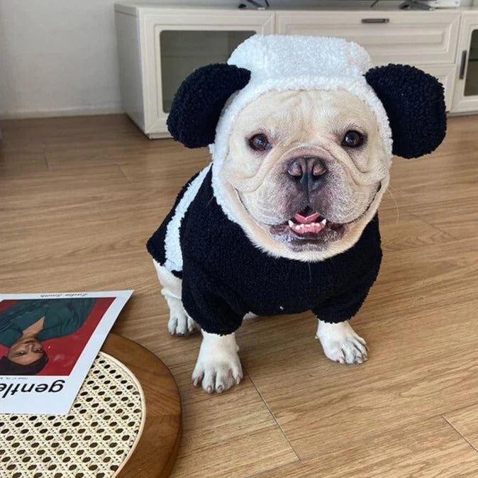 Stylish Bambuff Frenchie Panda Costume Hoodie – Halloween Warm Adorab...
