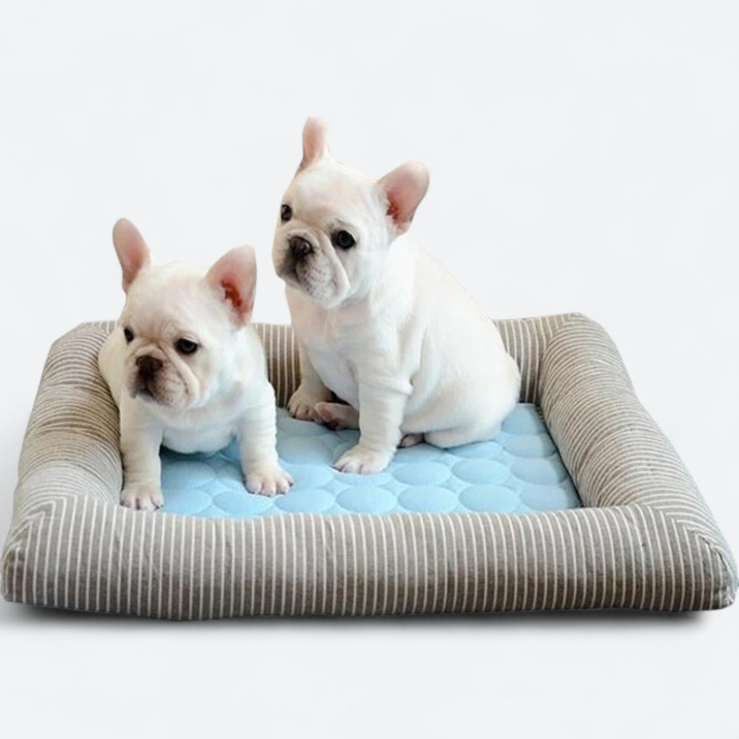 Dog Bed – Cooling Mat With Non-slip Base For Hot Days Summer Wear