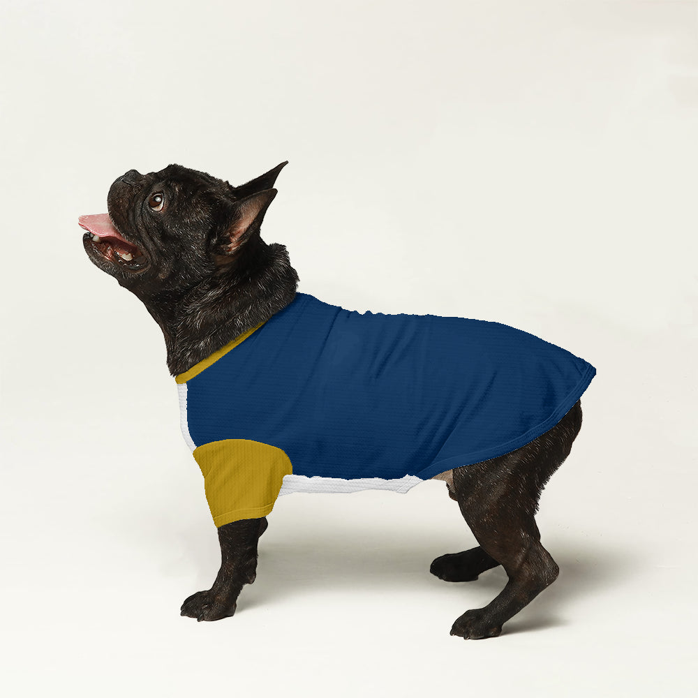 - Stylish Wool Sweater For Frenchies For Frenchie Fans | Durable Build