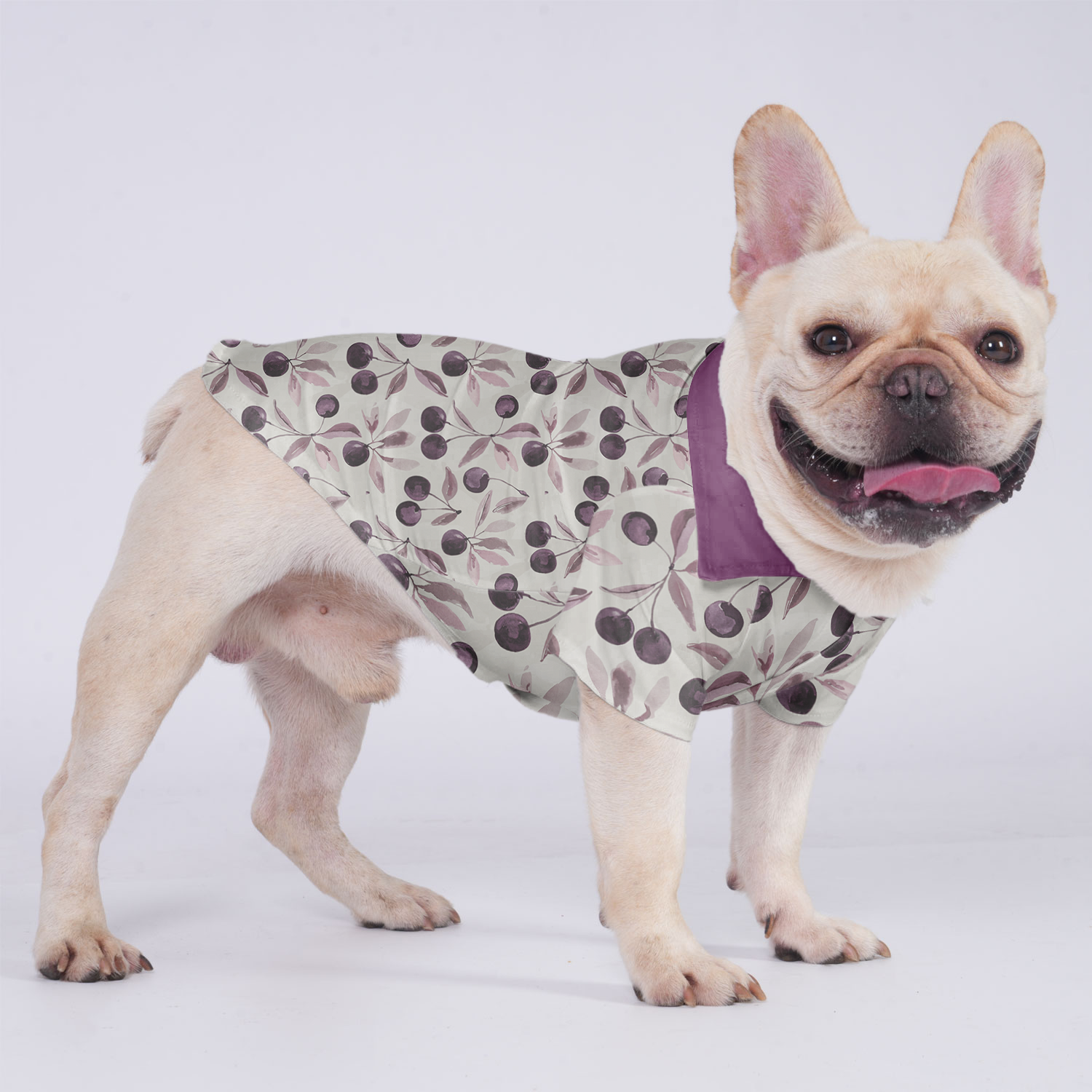 French Bulldog Louie Hawaiian Shirt For Frenchies Frenchie Pet Item