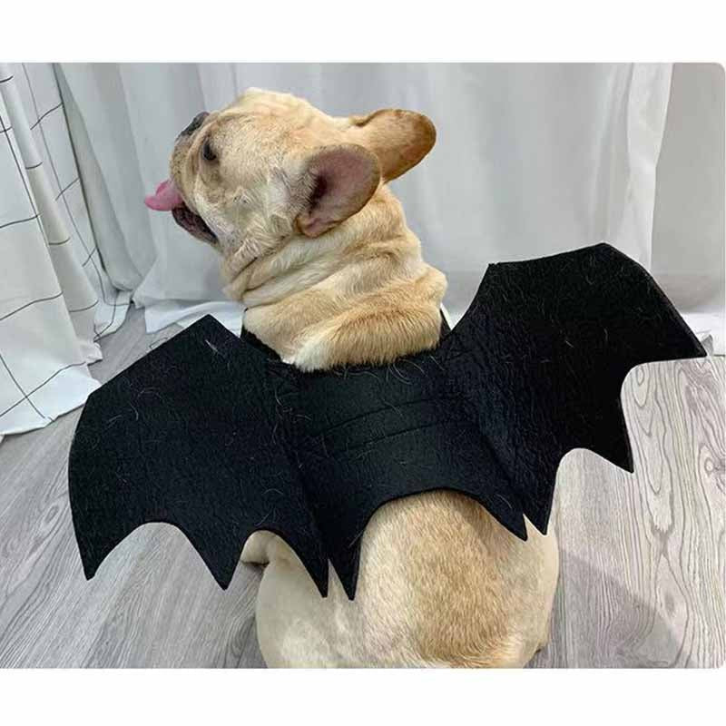 NoctiBull Frenchie Bat Wing Costume – Halloween Wings Dog Costume