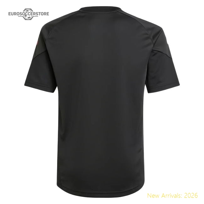 Durable Football Team Kids Jersey 2025-2026 Tag-free Stretchy